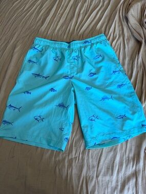 Field & Stream Light Mint Green Swim Shorts with Gray Waistband